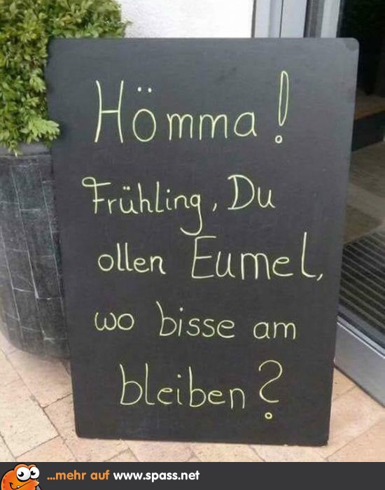 Hömma! Lustige Bilder auf