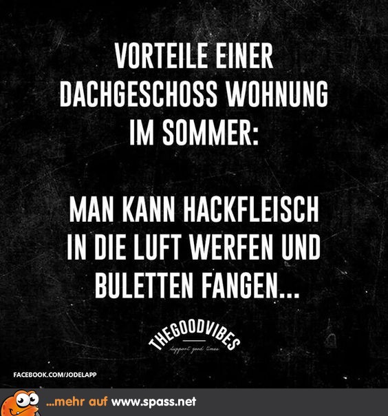 Dachgeschoss Lustige Bilder auf