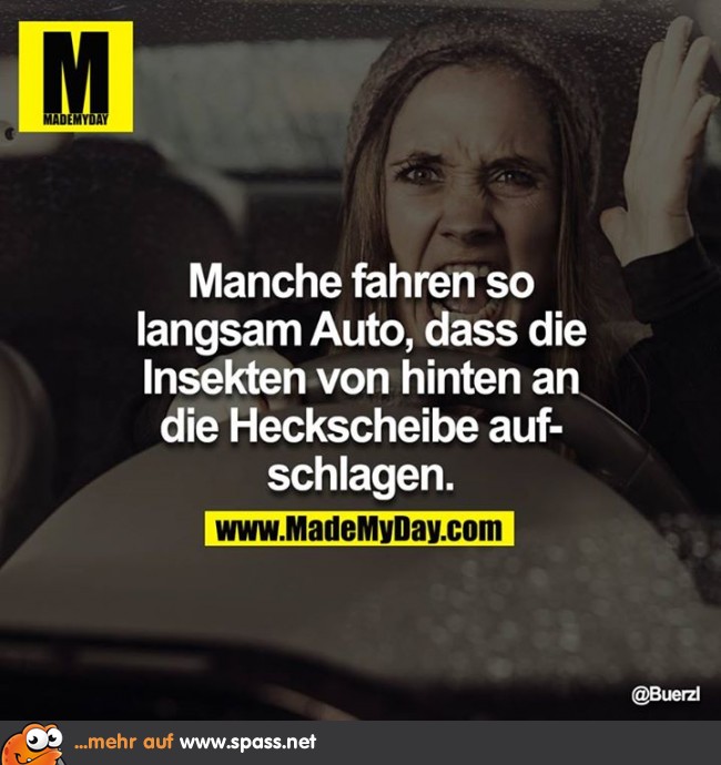Insekten Lustige Bilder auf
