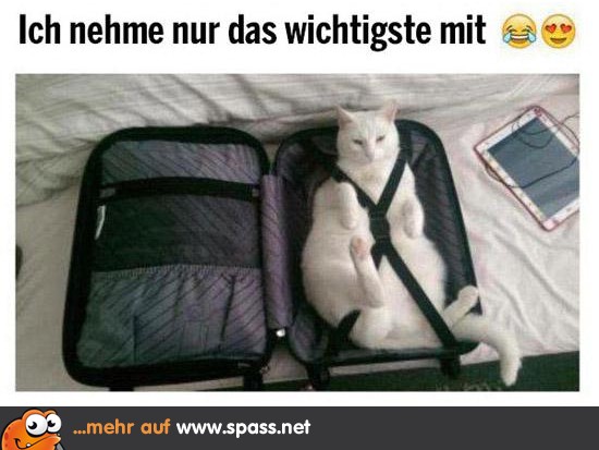Tierisches Gepäck Lustige Bilder auf