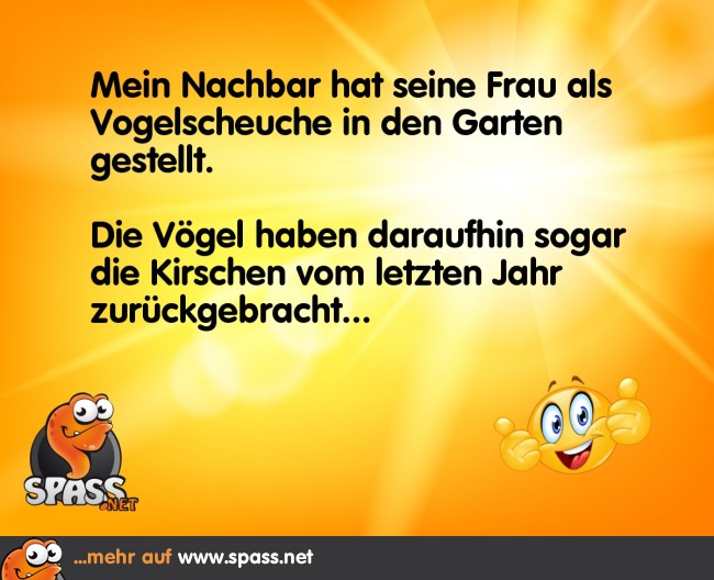 Vogelscheuche Lustige Bilder auf