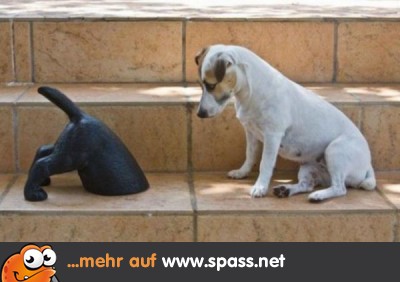 Www.Spass.Net Www.Spass.Net