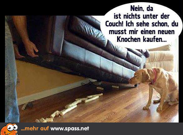 Knochen? Lustige Bilder auf