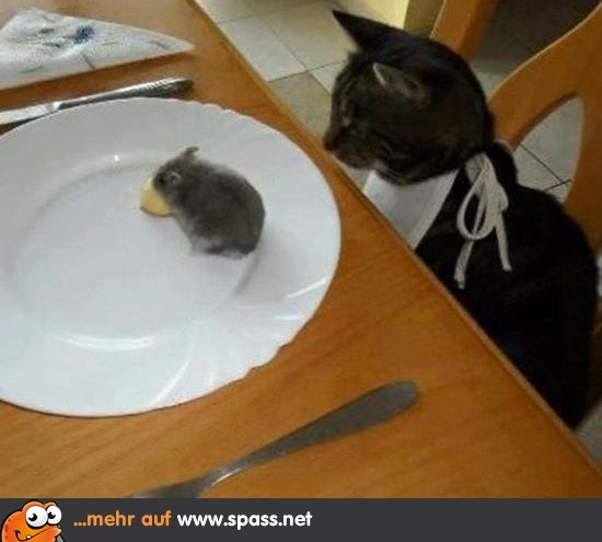 Mahlzeit! Lustige Bilder auf