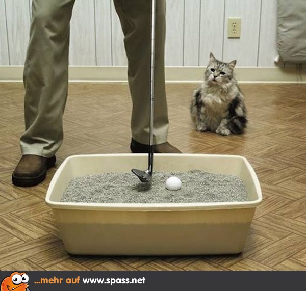 KatzenkloGolf Lustige Bilder auf