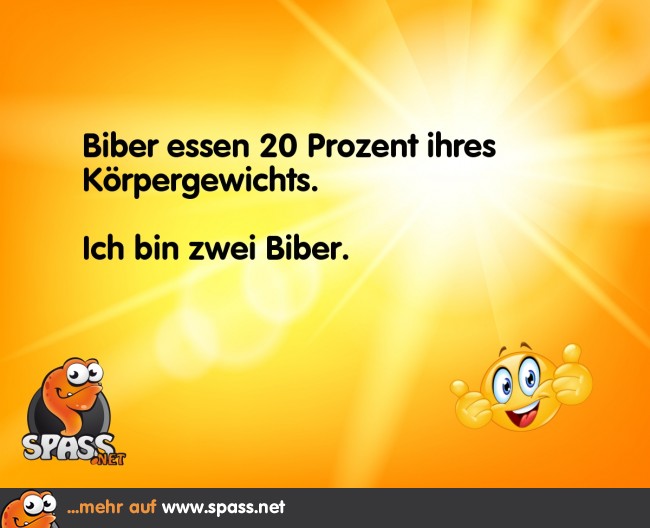 Biber Lustige Bilder auf