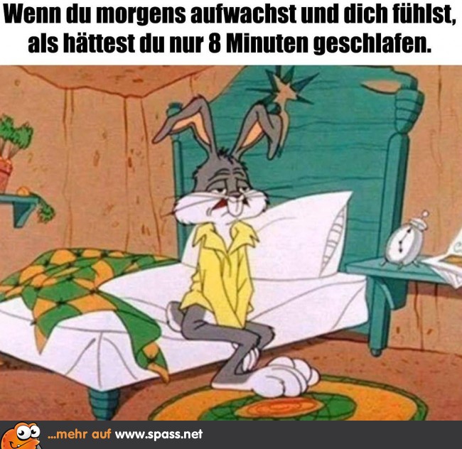 Ausgeschlafen? Lustige Bilder auf