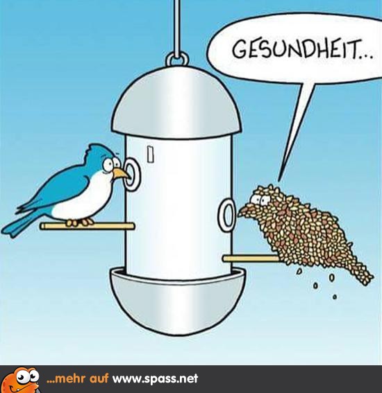 Gesundheit! Lustige Bilder auf