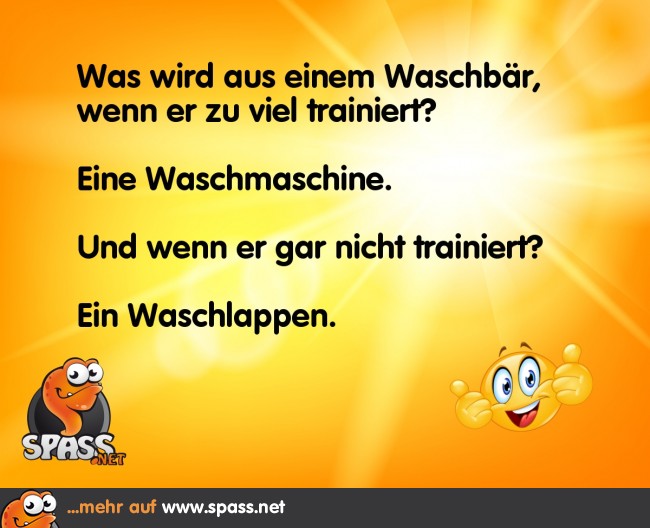 Waschbär Lustige Bilder auf