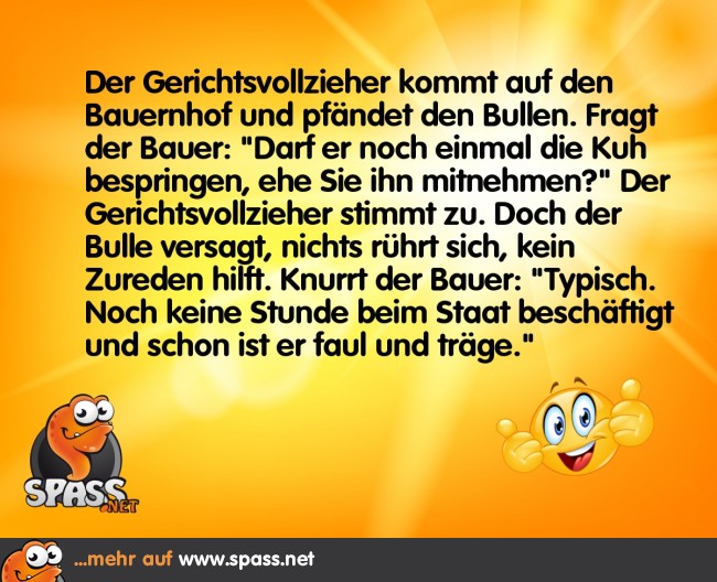 Der Bulle Lustige Bilder auf