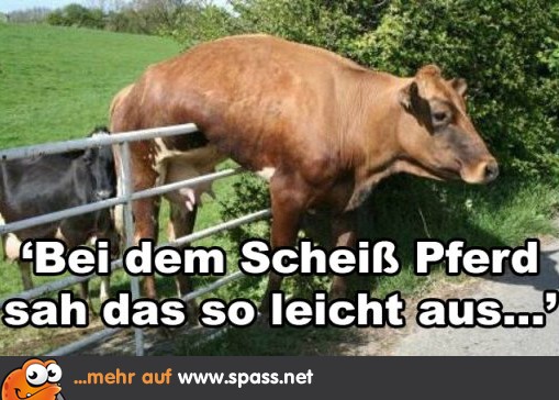 Späte Einsicht Lustige Bilder auf