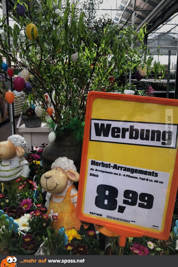 Lustige Herbst Spruche Bilder Lustige Sprüche