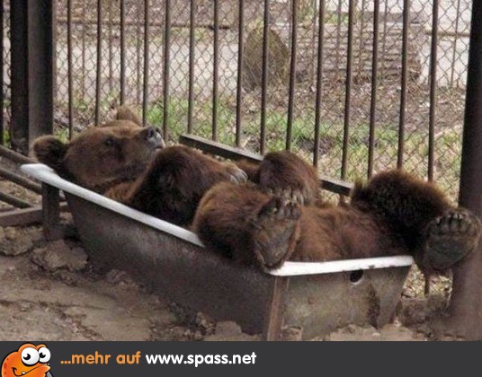 Puh Endlich Freitag Lustige Bilder Auf Spass Net