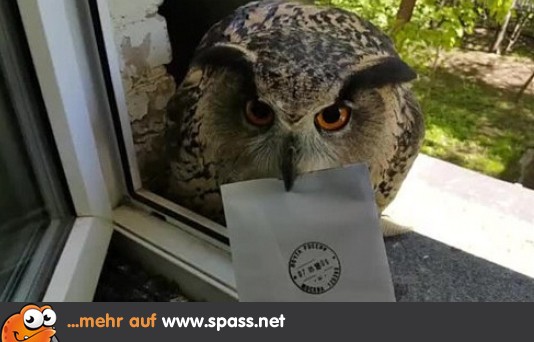 Spass.Net Spass.Net