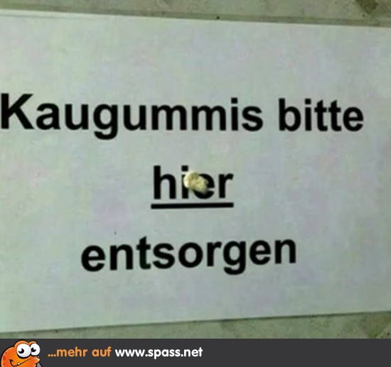 Lustige Bilder auf
