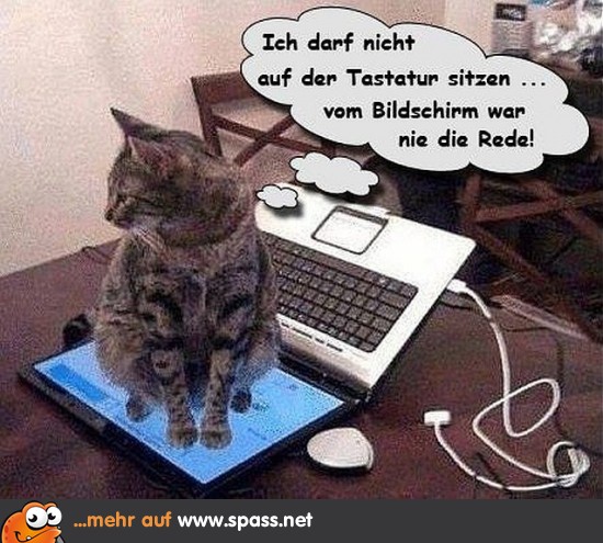 Tastatur Lustige Bilder auf