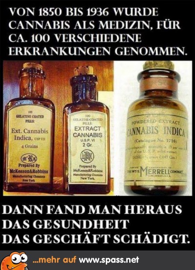 Lustige Bilder auf
