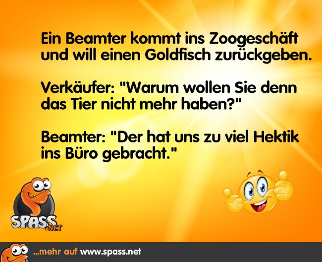 Zuviel Hektik Lustige Bilder auf