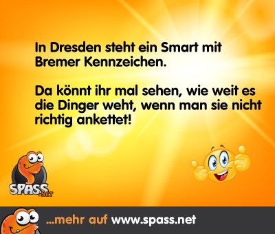 Lustige Bilder auf