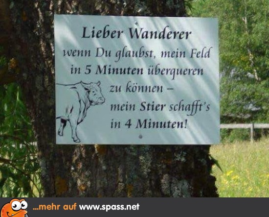Schneller Stier Lustige Bilder auf