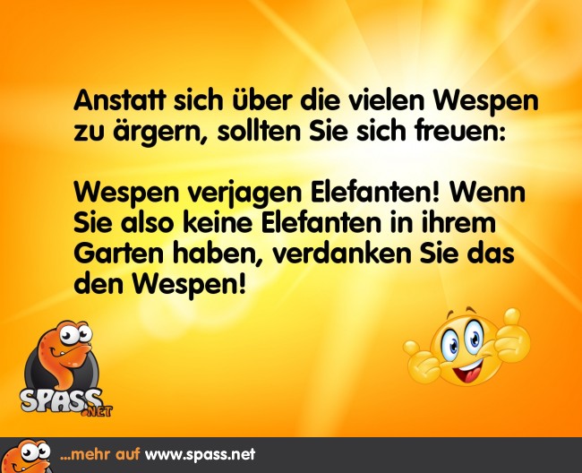 Wespen Lustige Bilder auf
