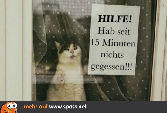 Hilferuf Lustige Bilder auf
