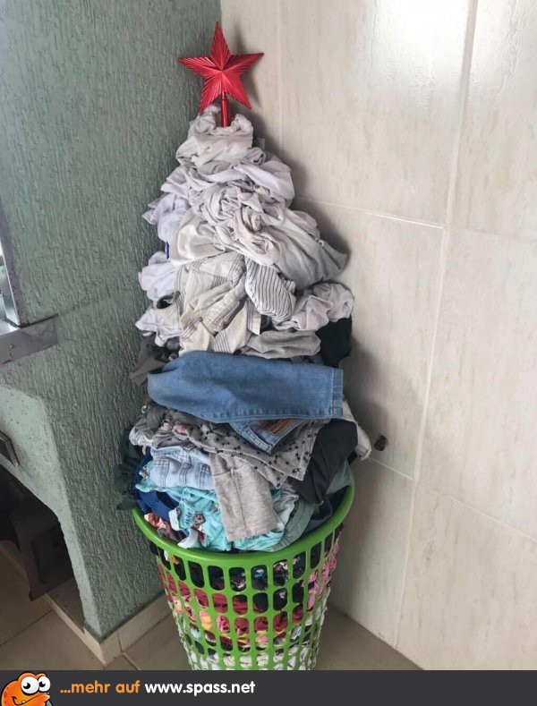 So, der Weihnachtsbaum steht! Lustige Bilder auf