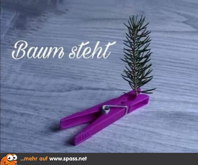 Baum Steht Lustige Bilder Auf Spass Net