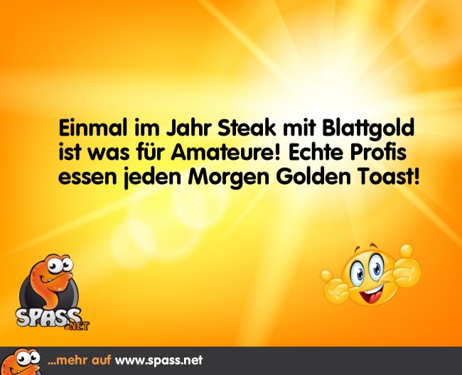 Nur was für echte Profis! Lustige Bilder auf