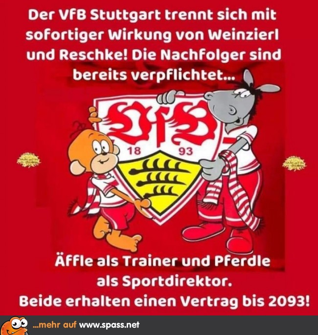 Schlechter wirds damit auch nicht… Lustige Bilder auf