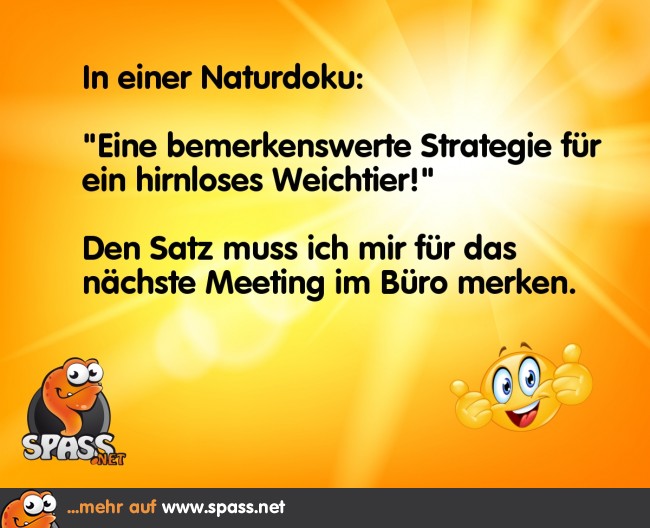 Die Strategie Lustige Bilder auf