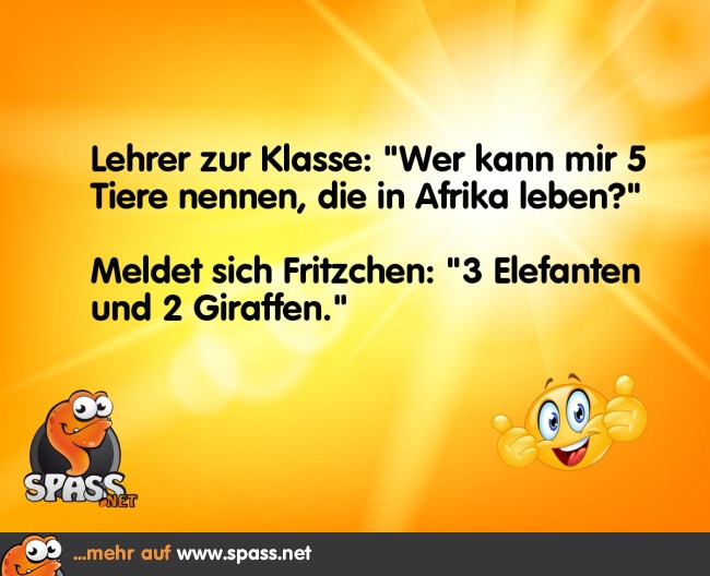 Tiere in Afrika Lustige Bilder auf