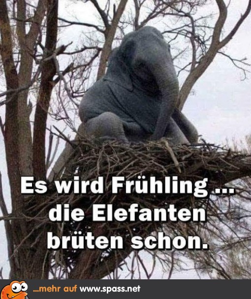 Frühlingsgefühle Lustige Bilder auf