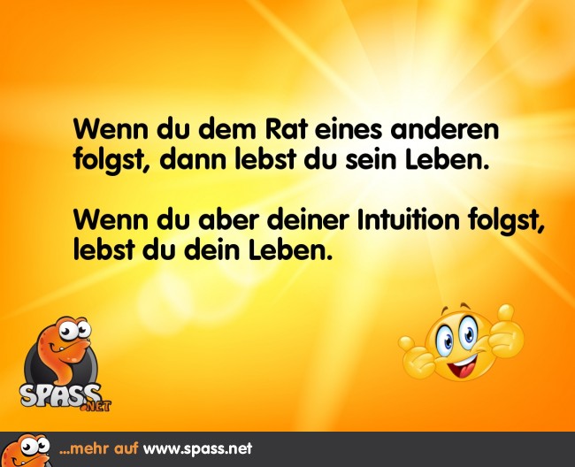 Lebe dein Leben Lustige Bilder auf