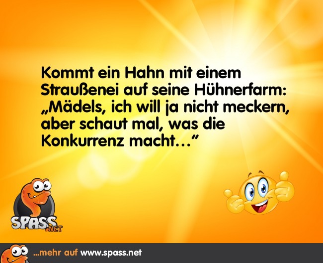 Konkurrenz belebt das Geschäft! Lustige Bilder auf