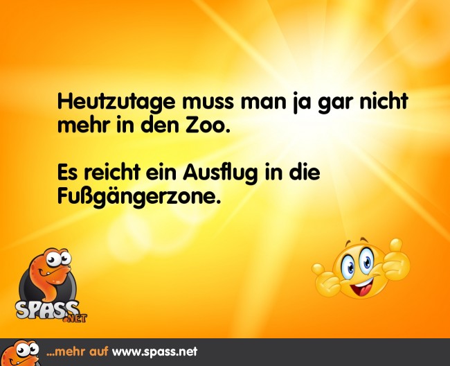 Das Leben ist ein Zoo Lustige Bilder auf