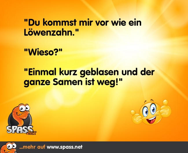 Pusteblume Lustige Bilder auf