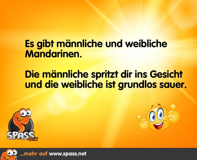 Die Mandarinen Lustige Bilder auf
