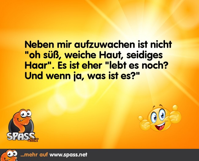 Lebt es noch? Lustige Bilder auf