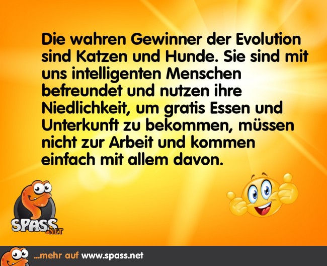 EvolutionsGewinner Lustige Bilder auf