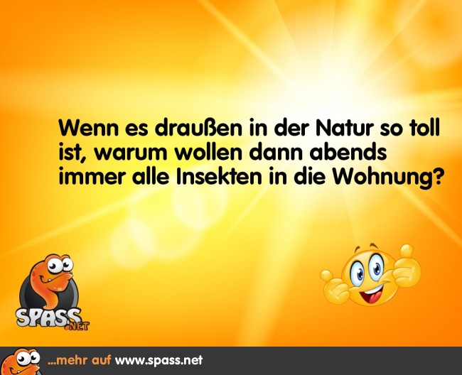 IndoorInsekten Lustige Bilder auf
