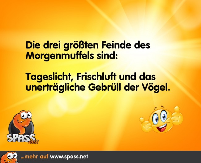 Lustige Bilder auf