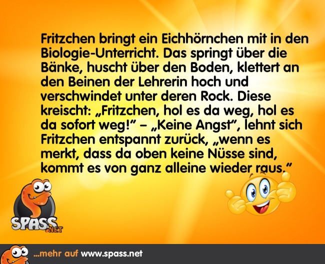 Keine Nüsse Lustige Bilder auf