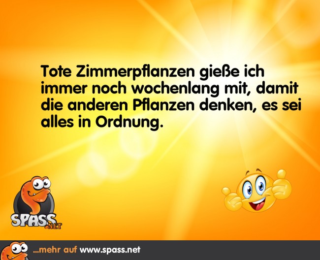 Anschein wahren Lustige Bilder auf