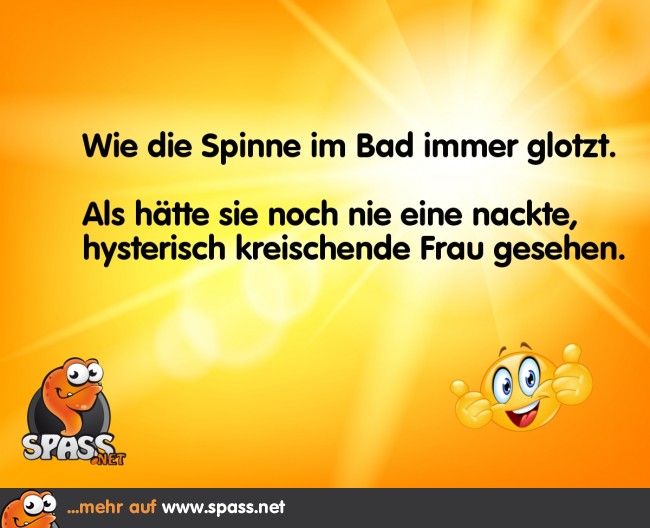 GlotzSpinne Lustige Bilder auf