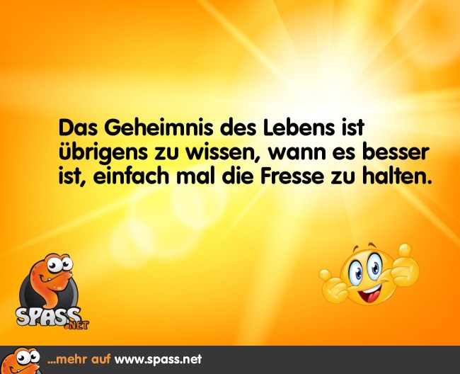 Geheimnis des Lebens Lustige Bilder auf