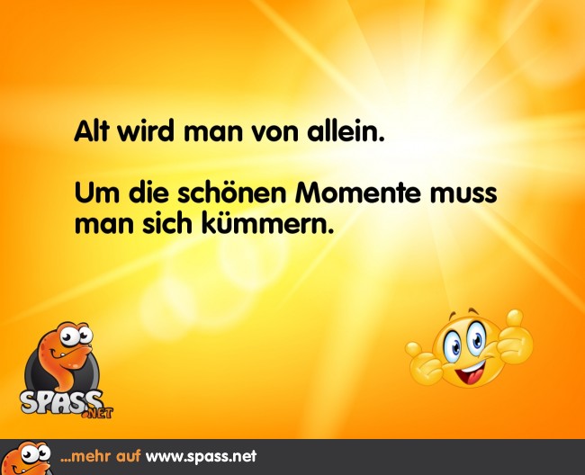 Die schönen Momente Lustige Bilder auf