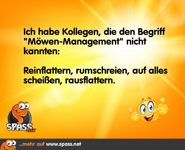 MöwenManagement Lustige Bilder auf