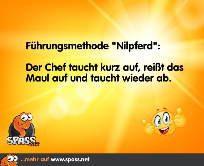Führungsmethode Lustige Bilder auf
