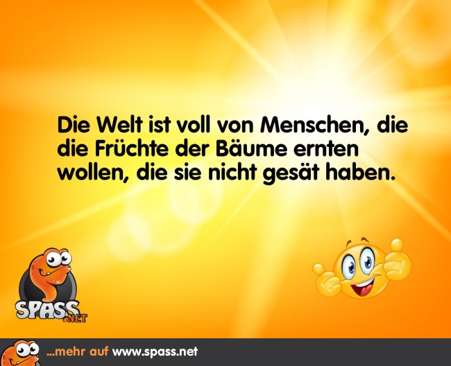 Die falschen Früchte Lustige Bilder auf